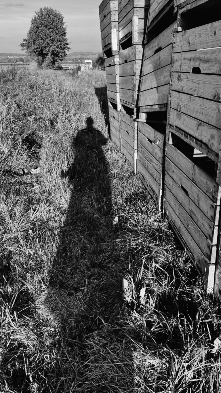 Processed with VSCO with kc25 preset